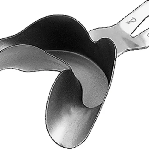 Avtrykkskje etter Ehricke