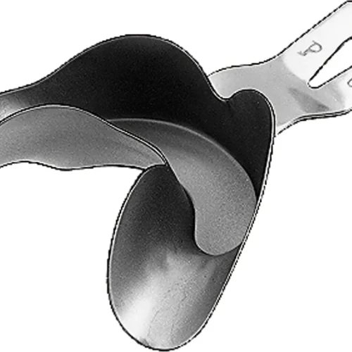 Avtrykkskje etter Ehricke