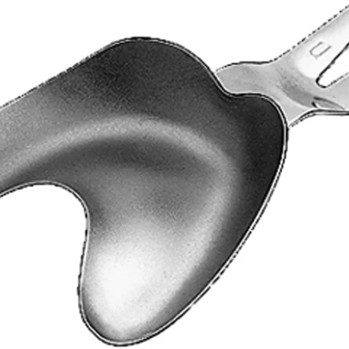 Ehricke avtrykksskje