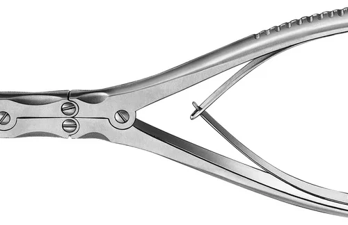 Hullmeiseltang etter Beyer