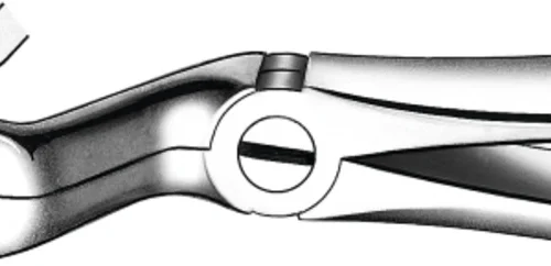 tanntenger etter Büchs