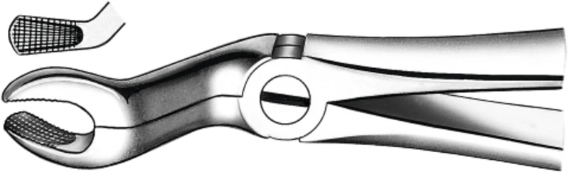 tanntenger etter Büchs