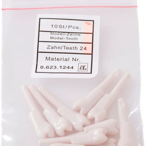 Snappetann modell premolar