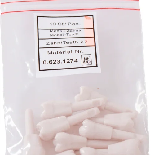 Snappetann modell molar