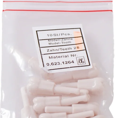 Snappetann modell molar