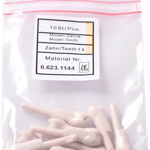 Snappetann modell premolar