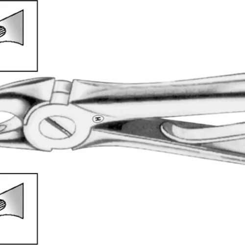 Barne-tang etter Klein