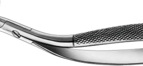 rotfragmenttenger etter Witzel