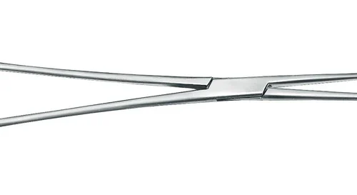 Korntang etter Gross-Maier