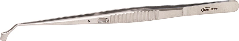 Lønn interdentalstikker