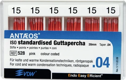 Guttaperka points