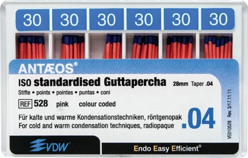 Guttaperka points