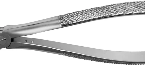 Tanntenger overkjeve