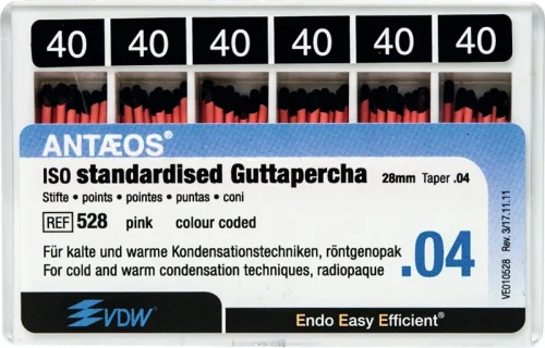 Guttaperka points