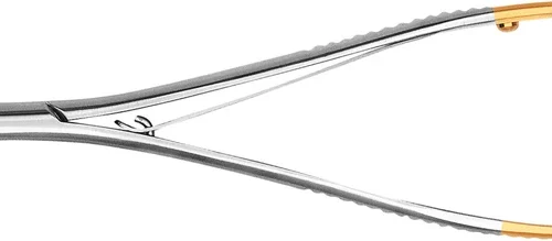 Nålholder etter Lichtenberg TC