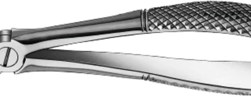 Barnetanntenger etter Klein