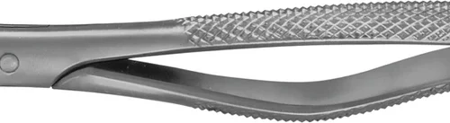 Anatomica-tenger etter Read