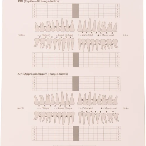 Spørreskjema PBI/ API