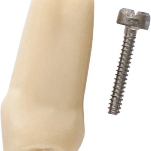 Gnathologiske modelltenner AG-3