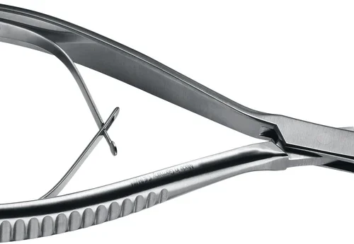 Hulmeiseltang etter LUER Friedmann