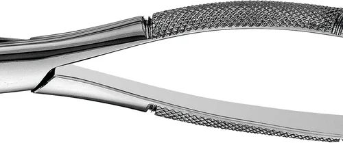 Tanngriper etter Apical