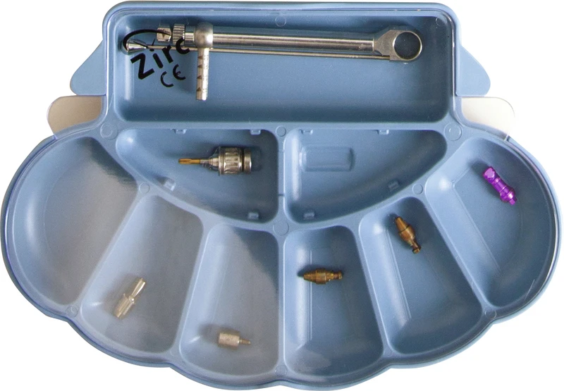 Implantatorganisator