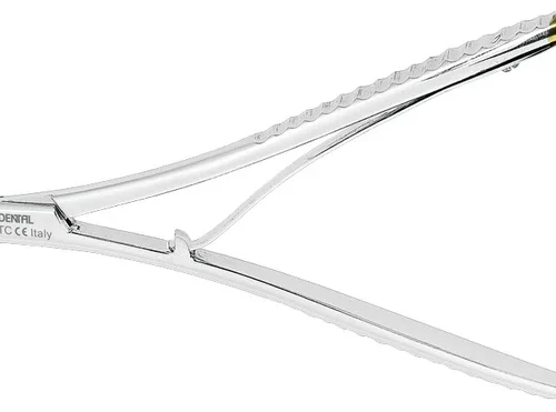 Nålholder etter Lichtenberg