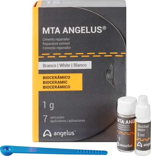 MTA-Angelus
