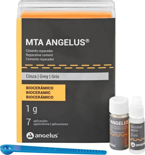 MTA-Angelus
