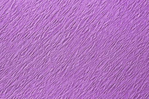 Tannskinneinnlegg