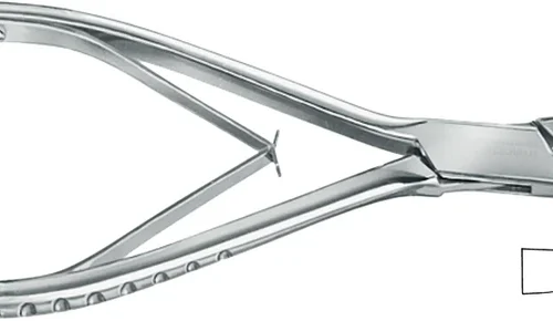 Hohlmeisseltang etter Friedmann