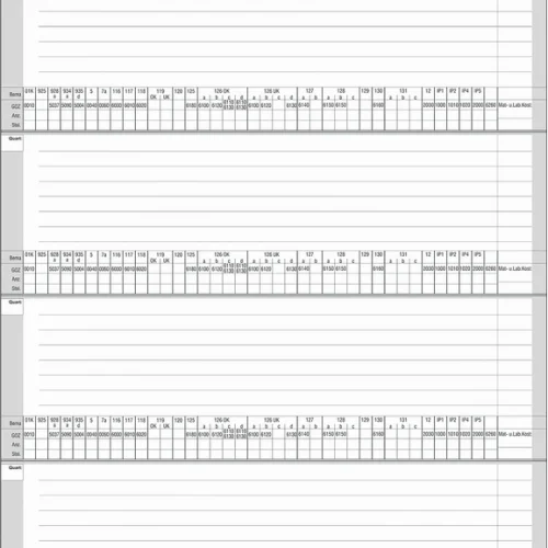 Innleggsark KFO-behandling