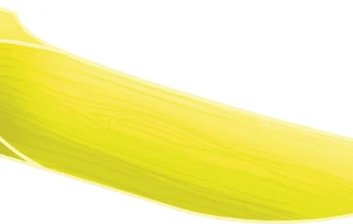 Interdentalkiler i lønnetre