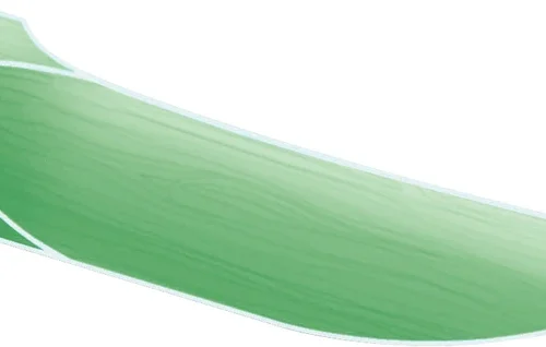 Interdentalkiler i lønnetre