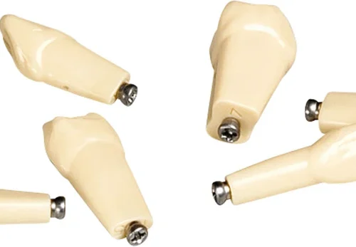 Kunststoffmodelltann ANKA-4 ZE