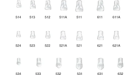 Strip-kroner barn klar