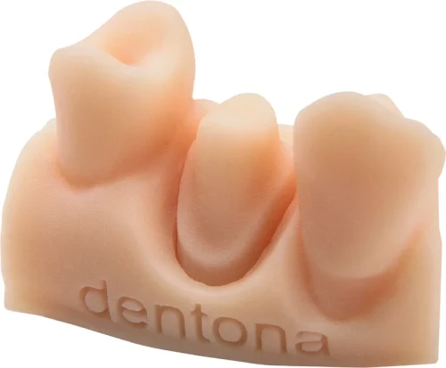 optiprint® model